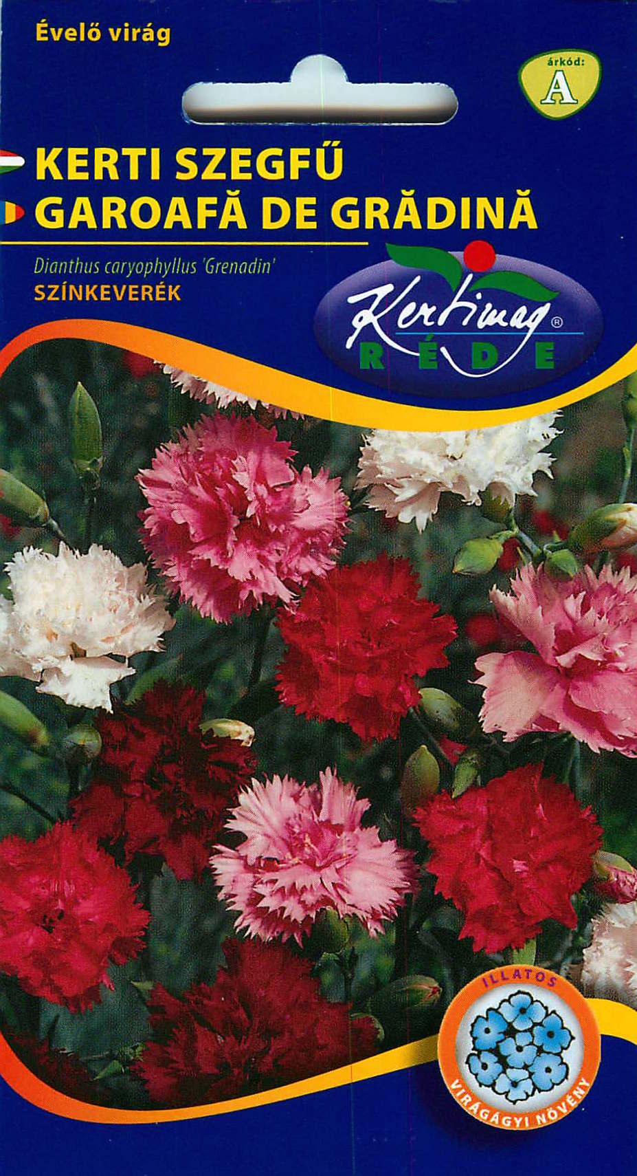 Carnation Grenadin Rose Dianthus Caryophyllus Seeds