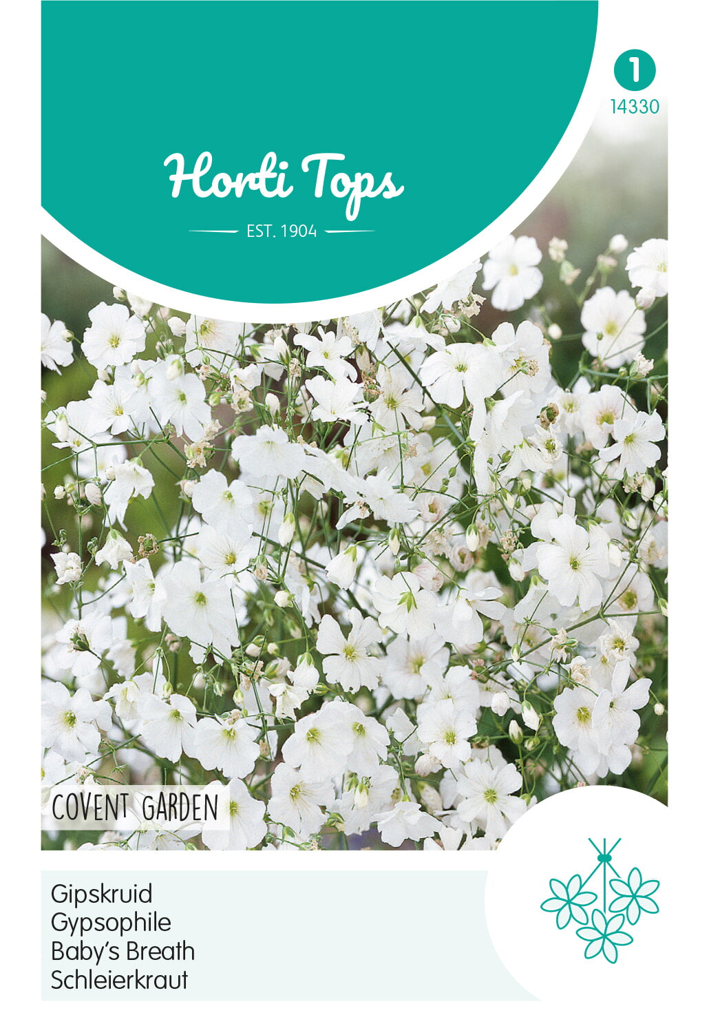 Baby's Breath Seeds and Plants - Annual Flowers - Burpee