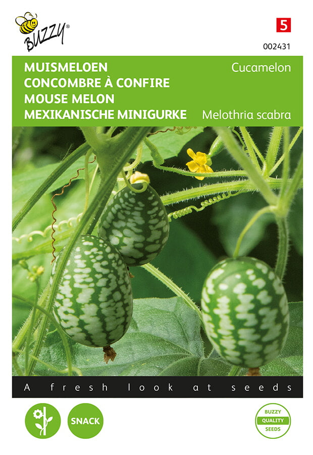 Mouse Melon - Cucamelon - 15 Zaden