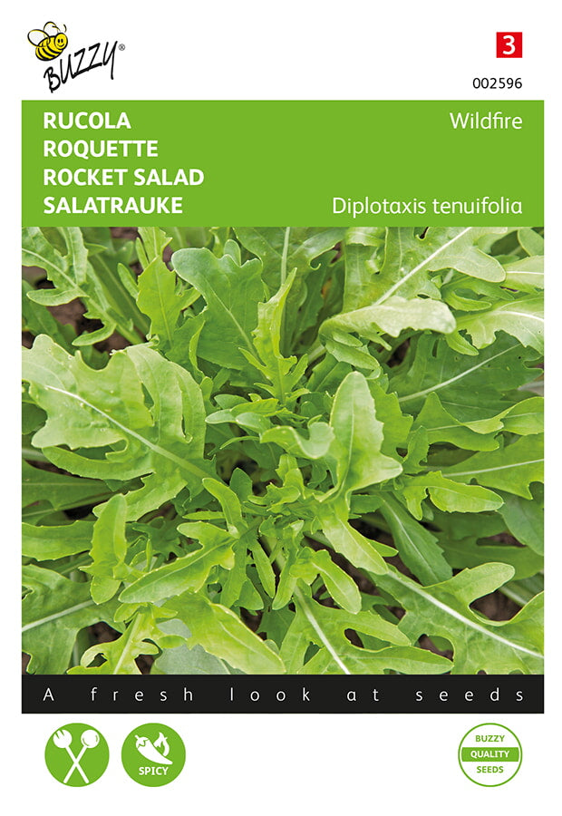 Rucola - Wasabi - 0,5g
