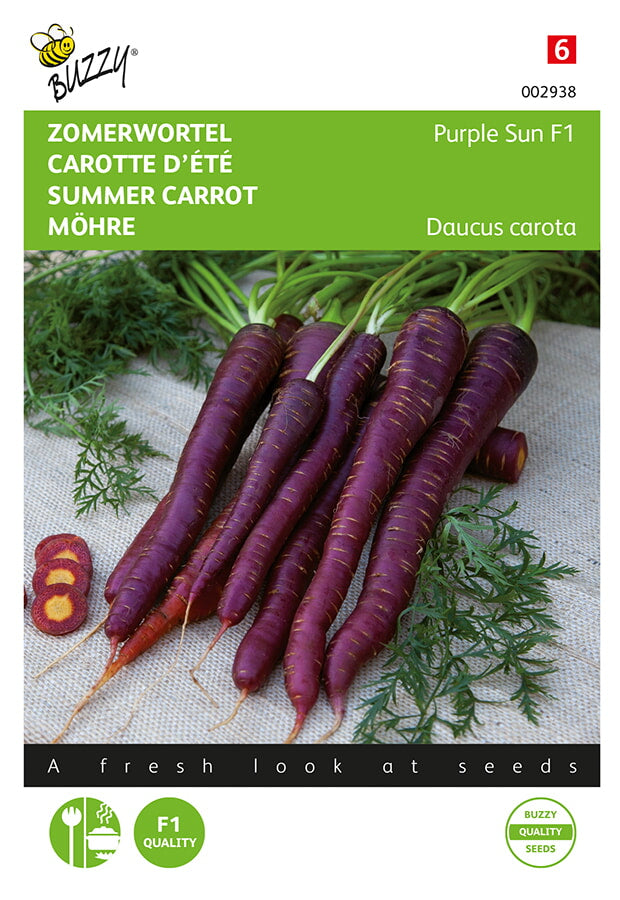 Carota Estiva - Purple Sun F1 - 400 Semi