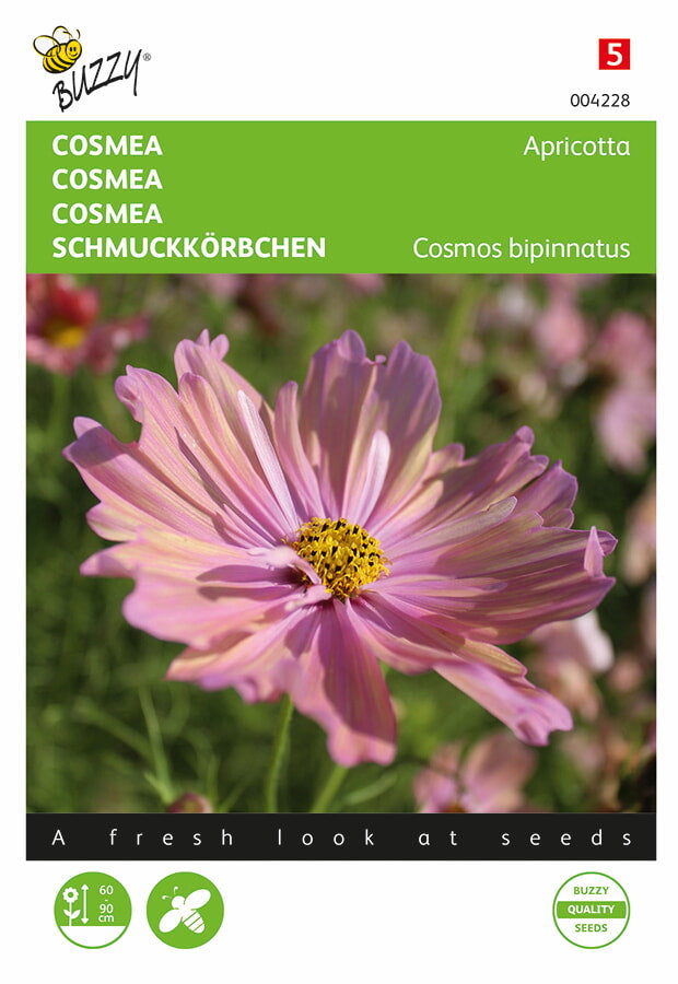 Cosmea - Apricotta - 30 semințe