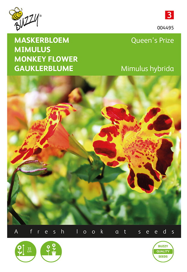 Monkey Flower - Queen&