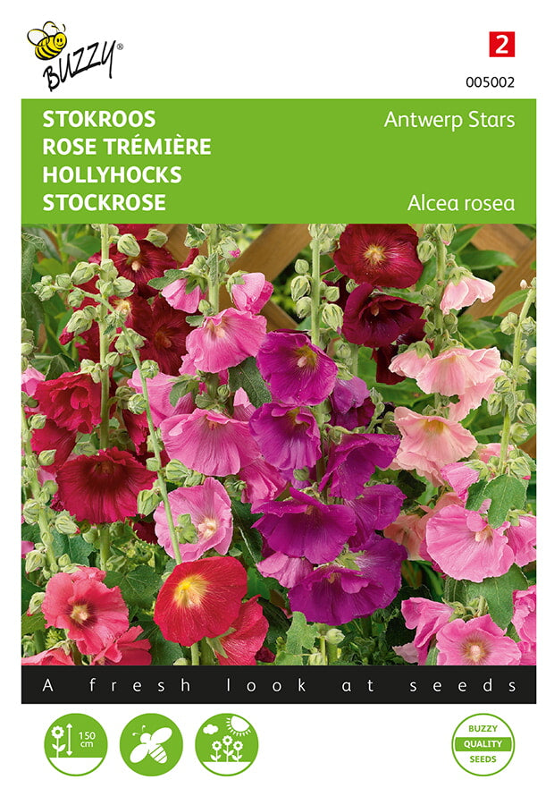 Hollyhocks - Antwerp Stars - 0,5g