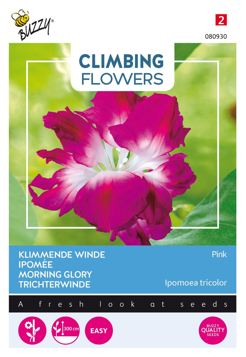 Morning Glory - Roz - 2 g