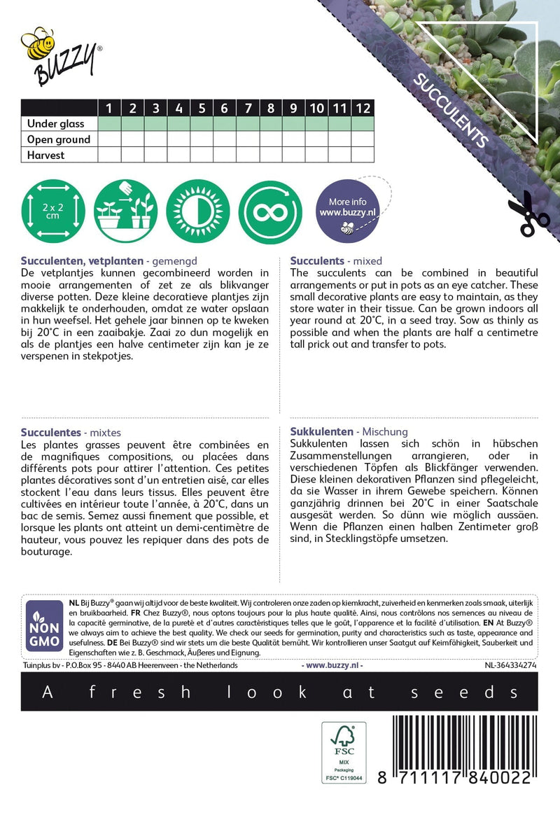 Succulenten - Gemengd - 7 Zaden