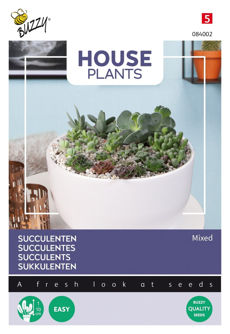 Succulenten - Gemengd - 7 Zaden