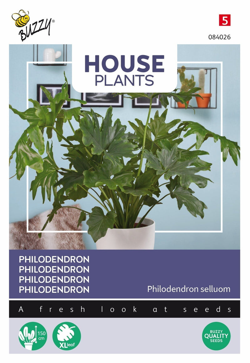 Philodendron - 16 semințe