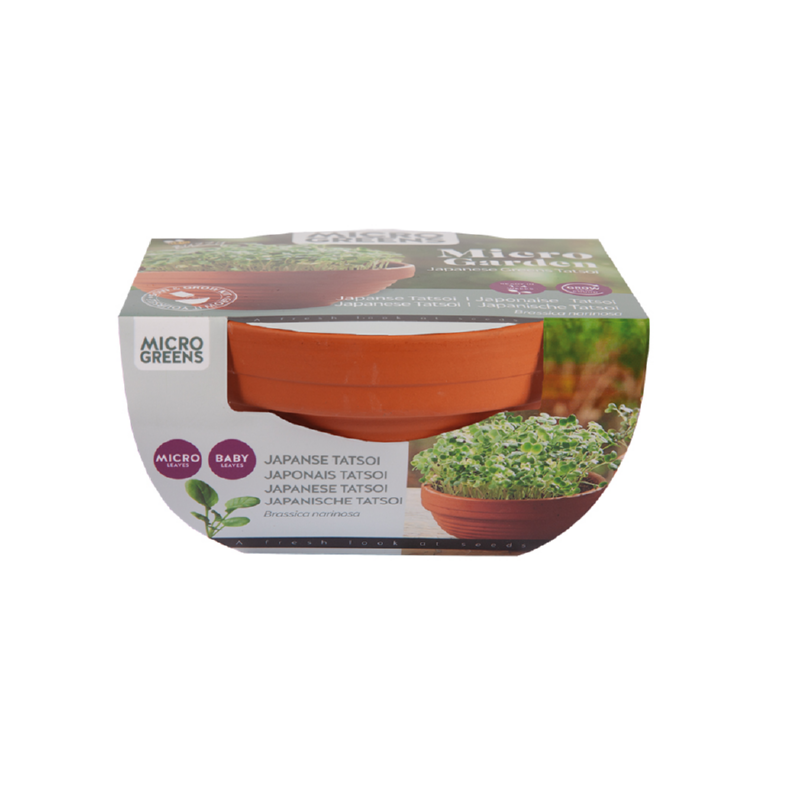 Sow & Grow Kit - Mikro-Garten - Japanische Grünkohl Tatsoi