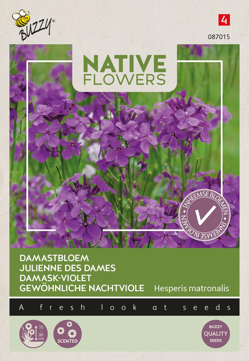 Flores Nativas - Violeta Damasco - 0,25g