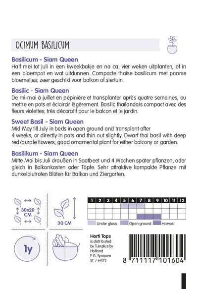 Slatki bosiljak - Siam Queen - 0,2g