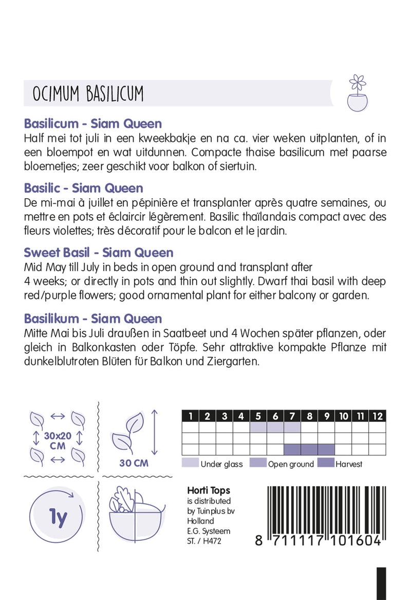 Slatki bosiljak - Siam Queen - 0,2g