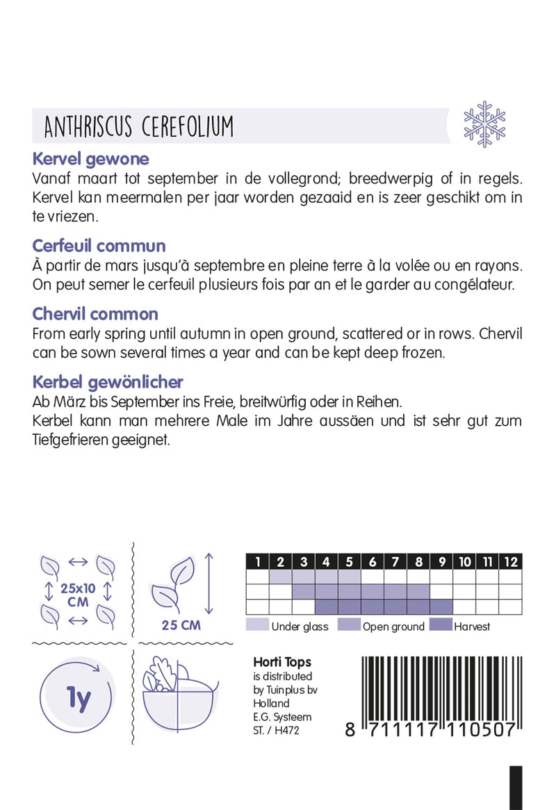 Chervil comun - 5 g