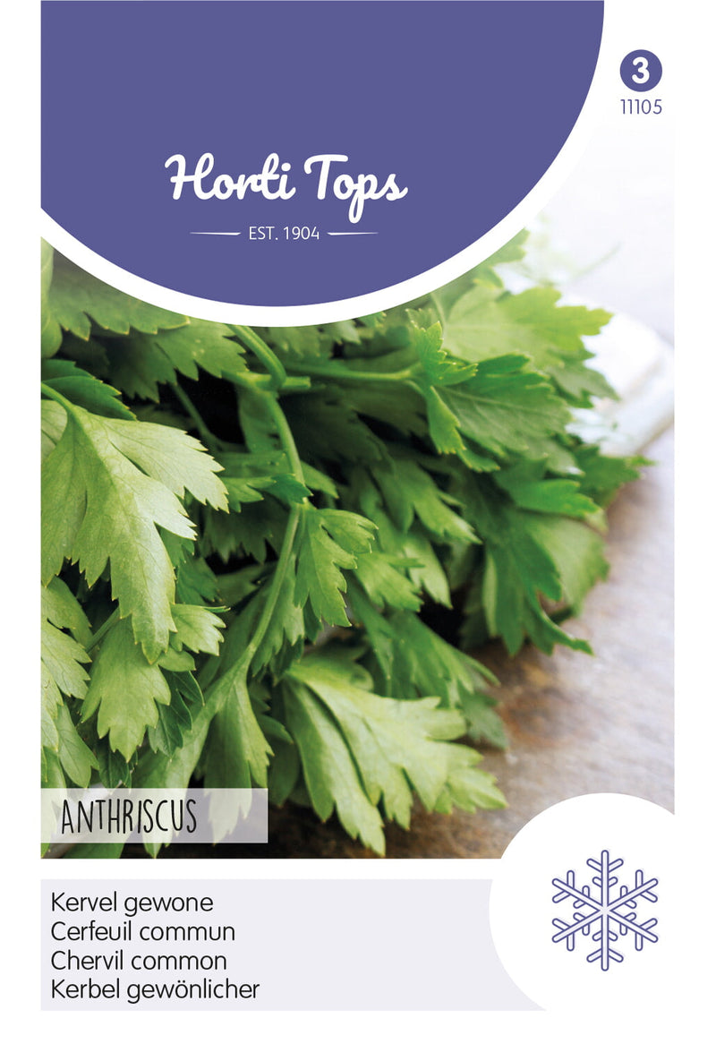 Chervil comun - 5 g