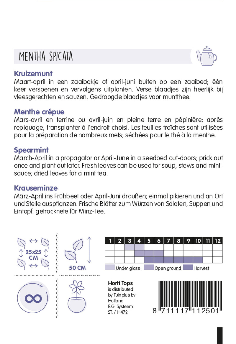 Acetosa - Rumex - 2 g