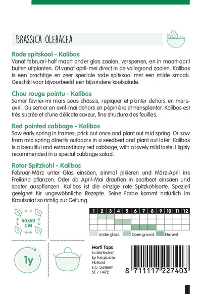 Cavolo Rosso a Punta - Kalibos - 1g