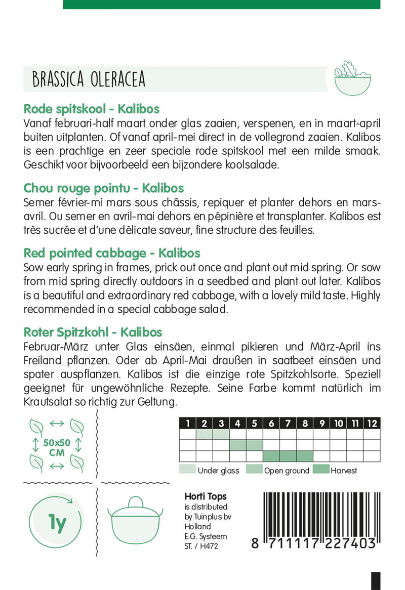 Cavolo Rosso a Punta - Kalibos - 1g