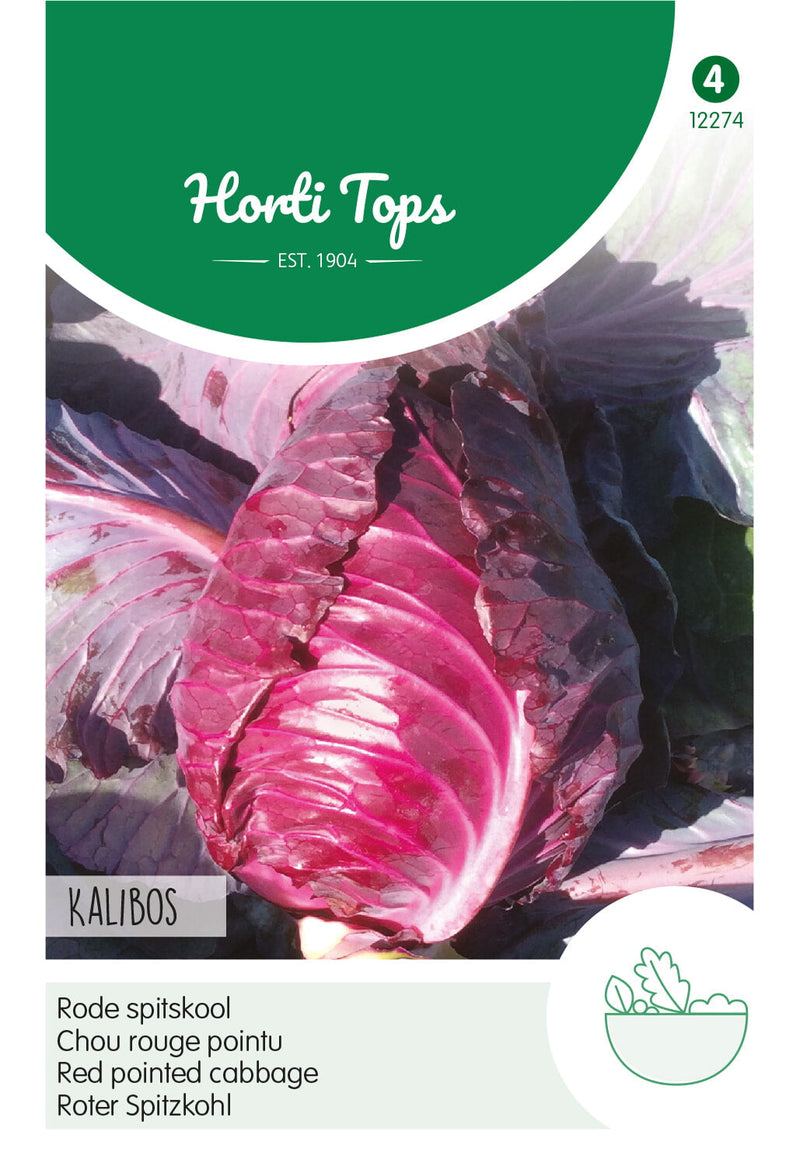 Cavolo Rosso a Punta - Kalibos - 1g