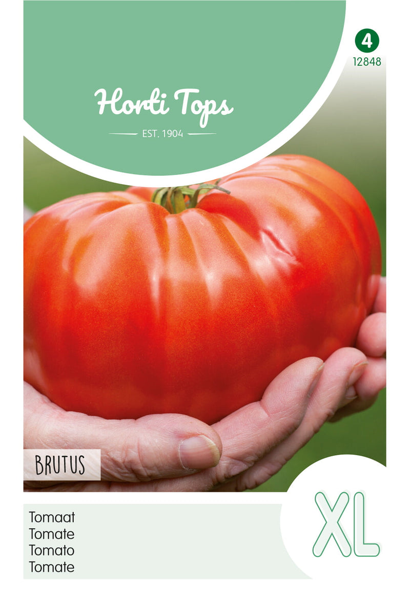 Tomate XL - Brutus - 0,2 g