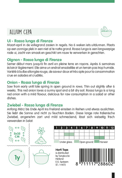 Cebolla - Rossa Lunga di Firenze - 2 g