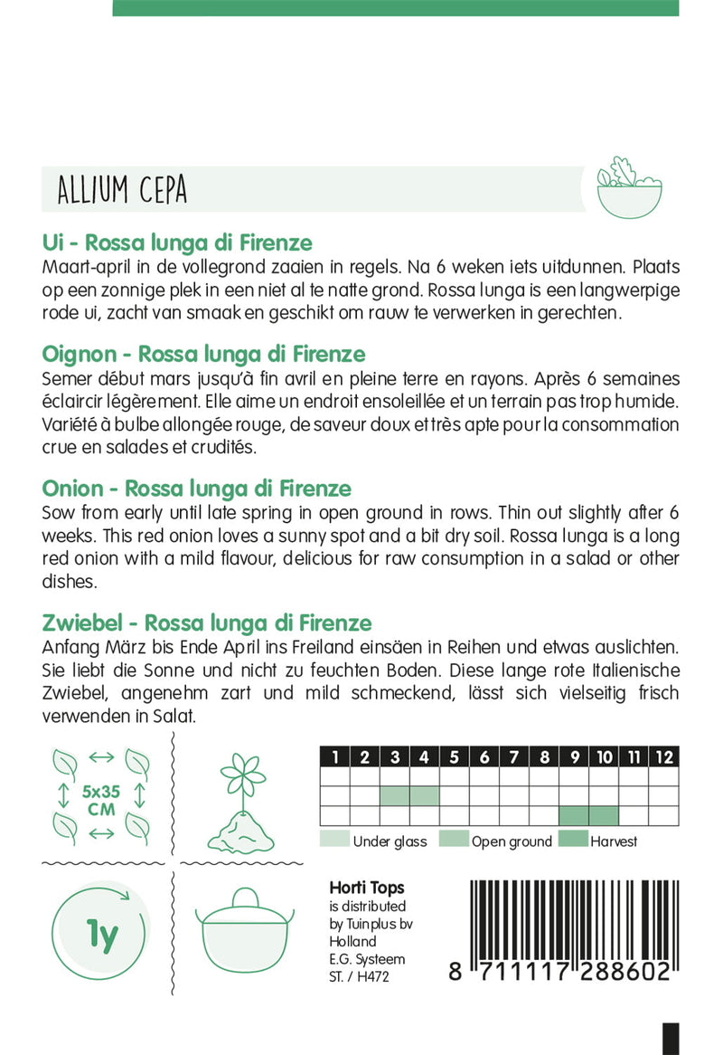 Cebolla - Rossa Lunga di Firenze - 2 g