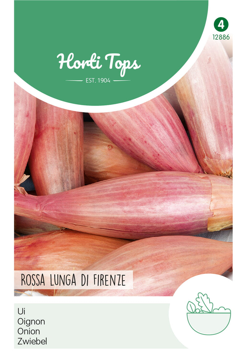 Cebolla - Rossa Lunga di Firenze - 2 g