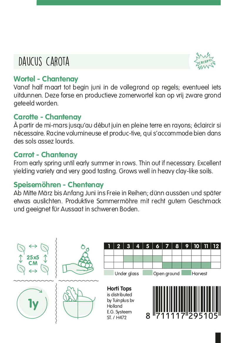 Carota - Chantenay - 6 g