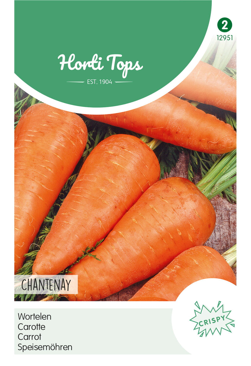 Carota - Chantenay - 6 g