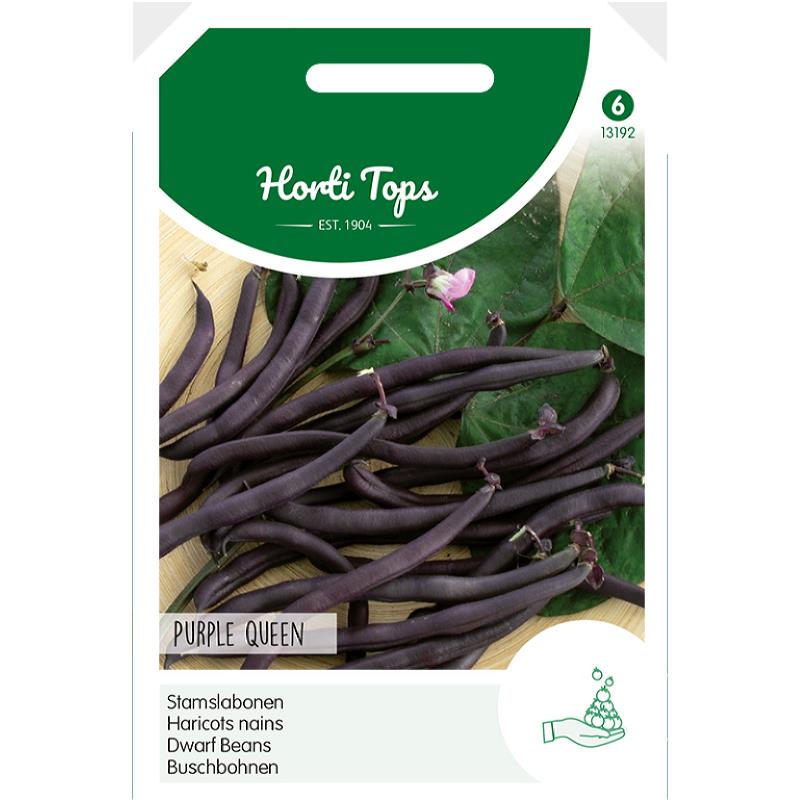Dwarf Beans - Purple Queen - 100 g