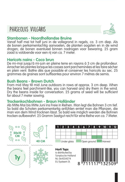 Bush Beans - Noordhollandse Bruine - 25 g