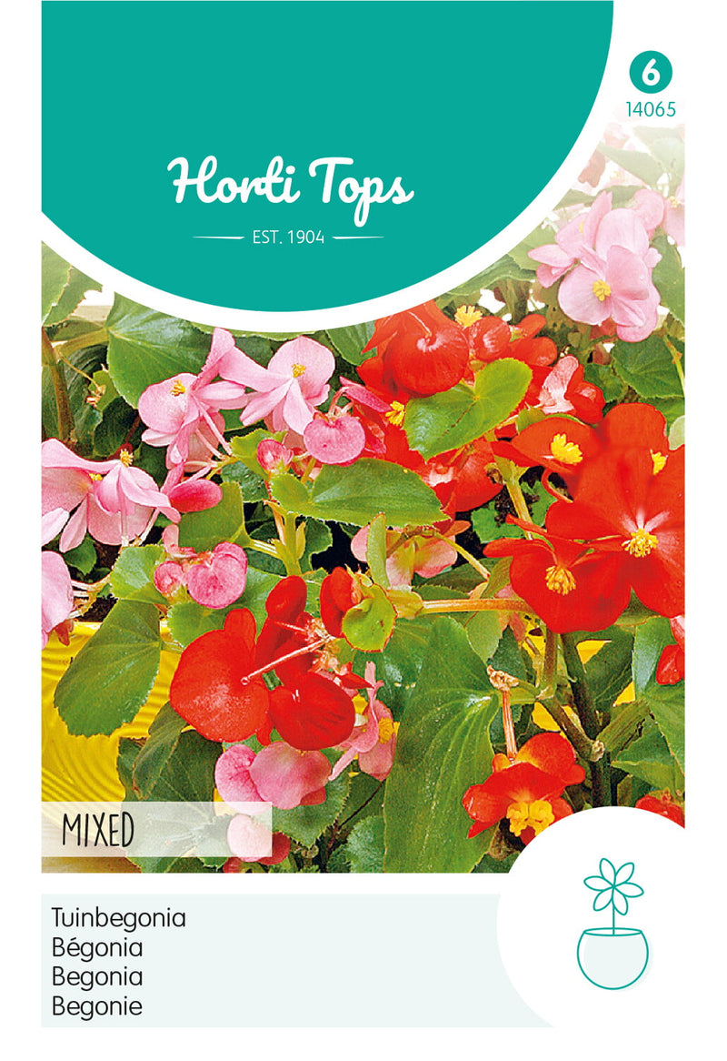Begonia - Mixed - 0,05 g