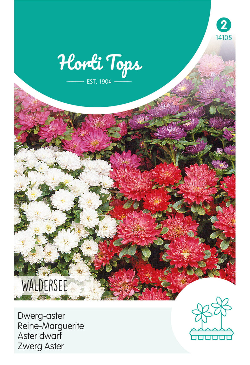 Aster Nano - Waldersee - 0,4g