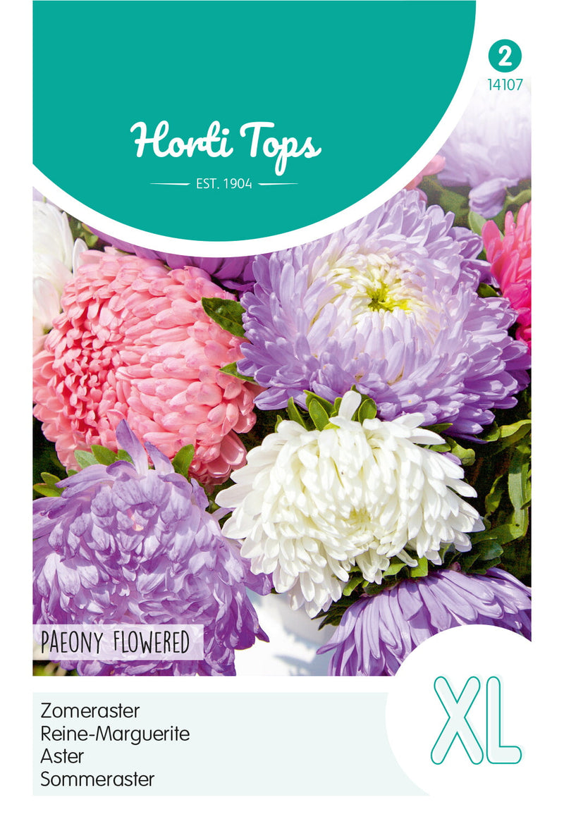 Aster - Floare de Bujor - XL - 0,75g