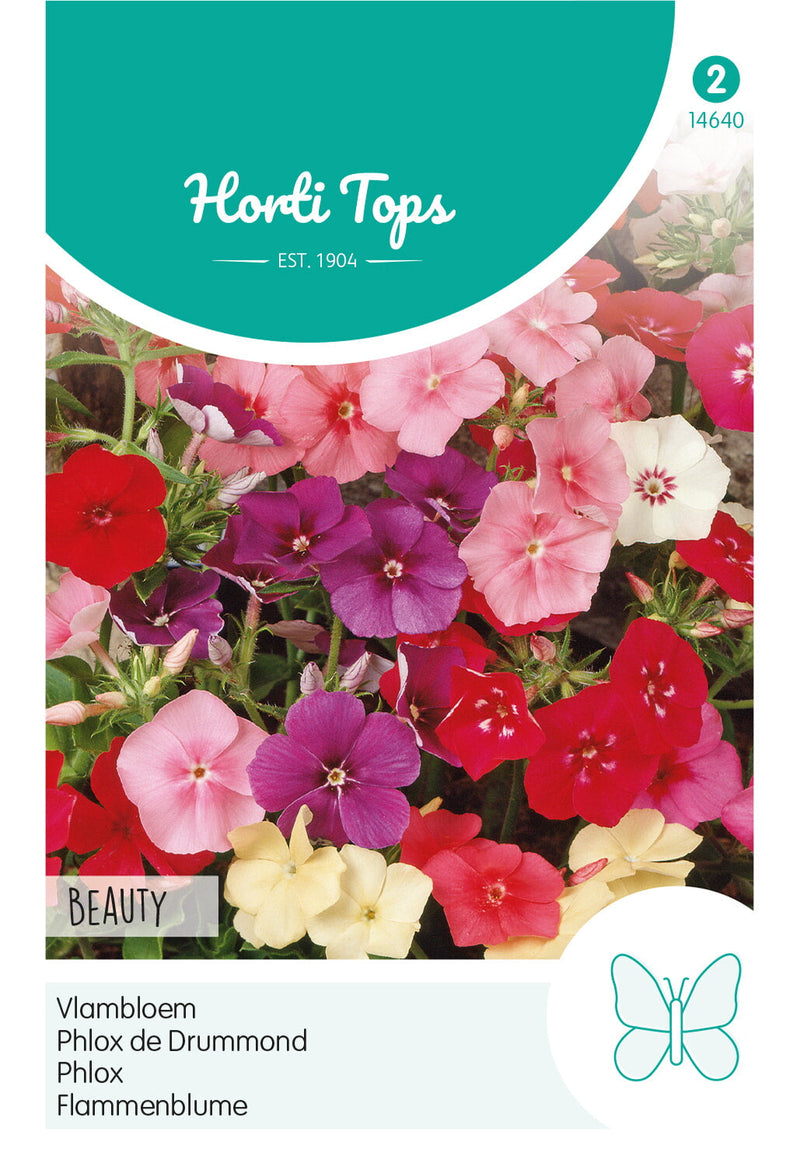 Phlox - Bellezza - 0,5g