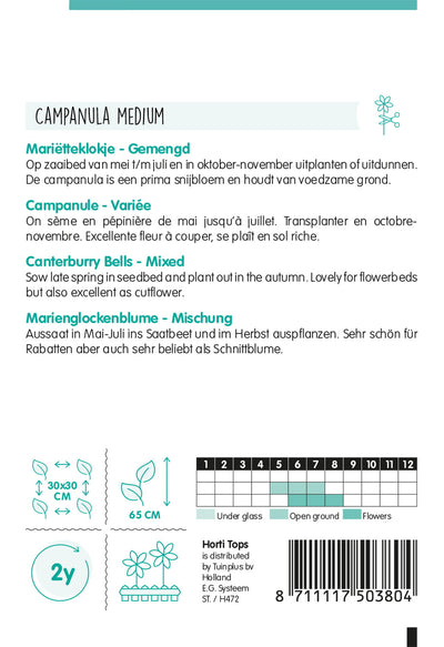 Campanules de Canterbury - Tasse et soucoupe - 0,4g