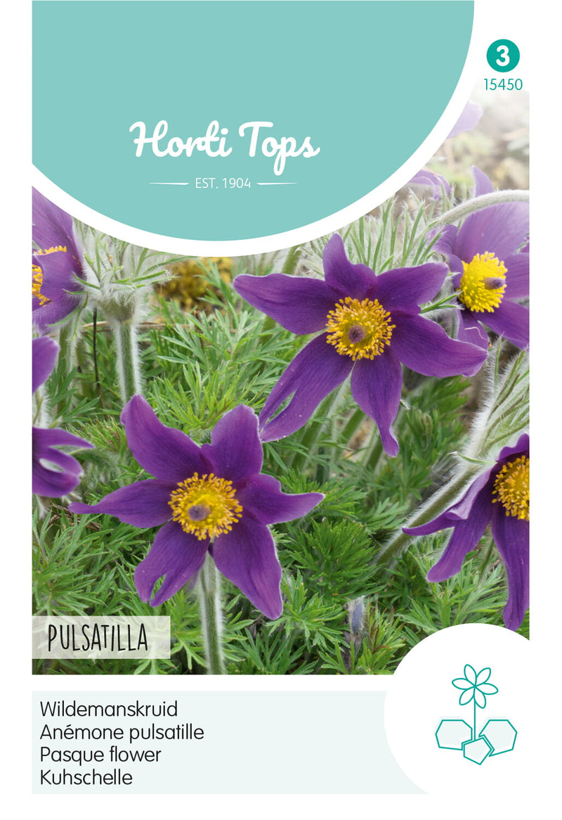 Pasque Flower - Pulsatilla - 0,1 g