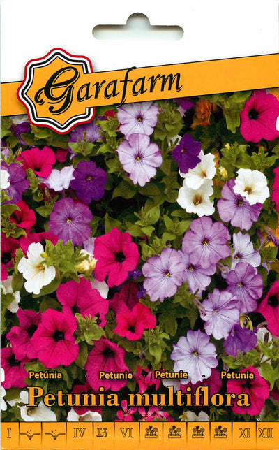 Petunia - Multiflora - 0,1g