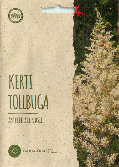 Spirea - Astilbe White - 6 Semințe