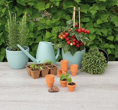 Vasi in Terracotta - 4/5 cm - 12 pz