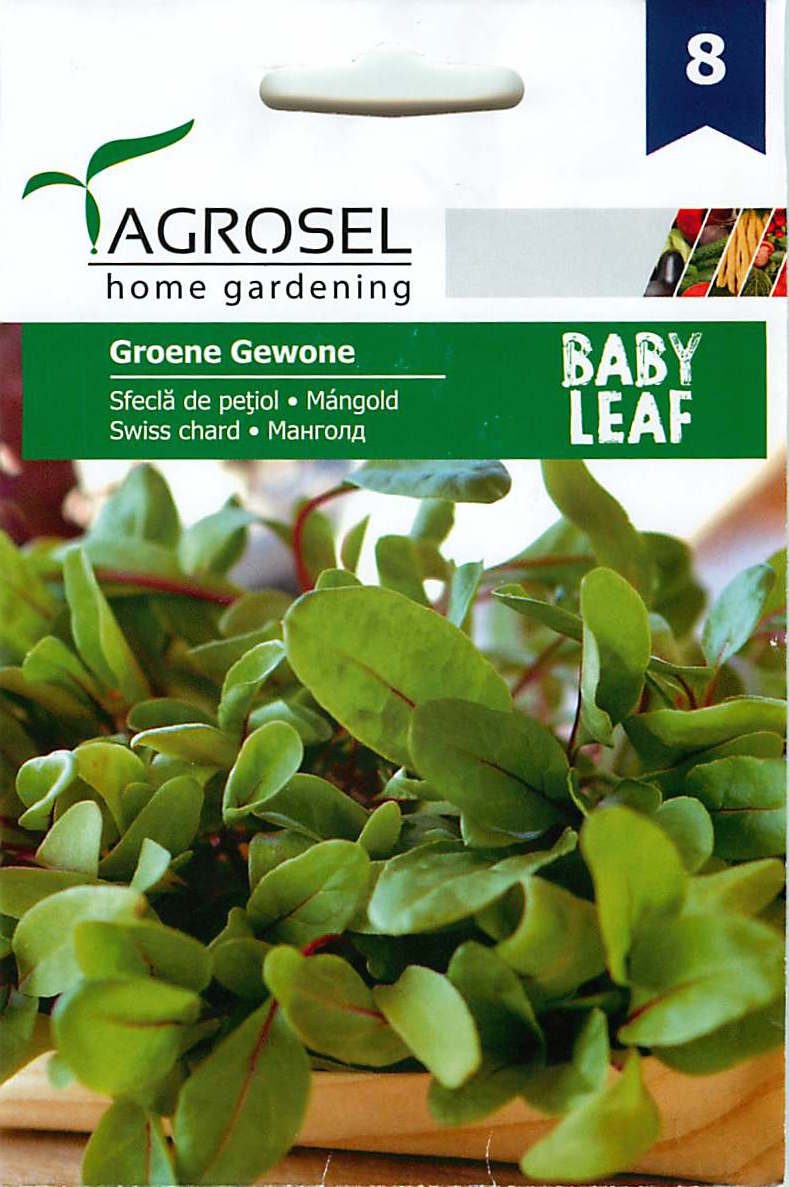 Schweizer Mangold - Baby Leaf - Groene Gewone - 4g