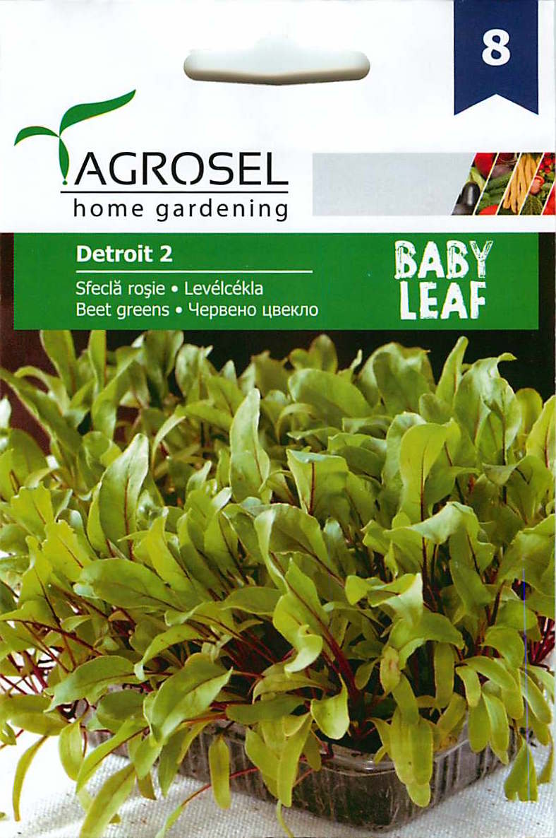 Bietengroenten - Babyblad - Detroit 2 - 5g