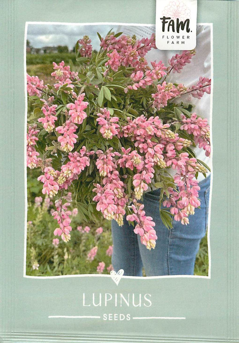 Lupinus - Avalune Pink - 50 Semințe