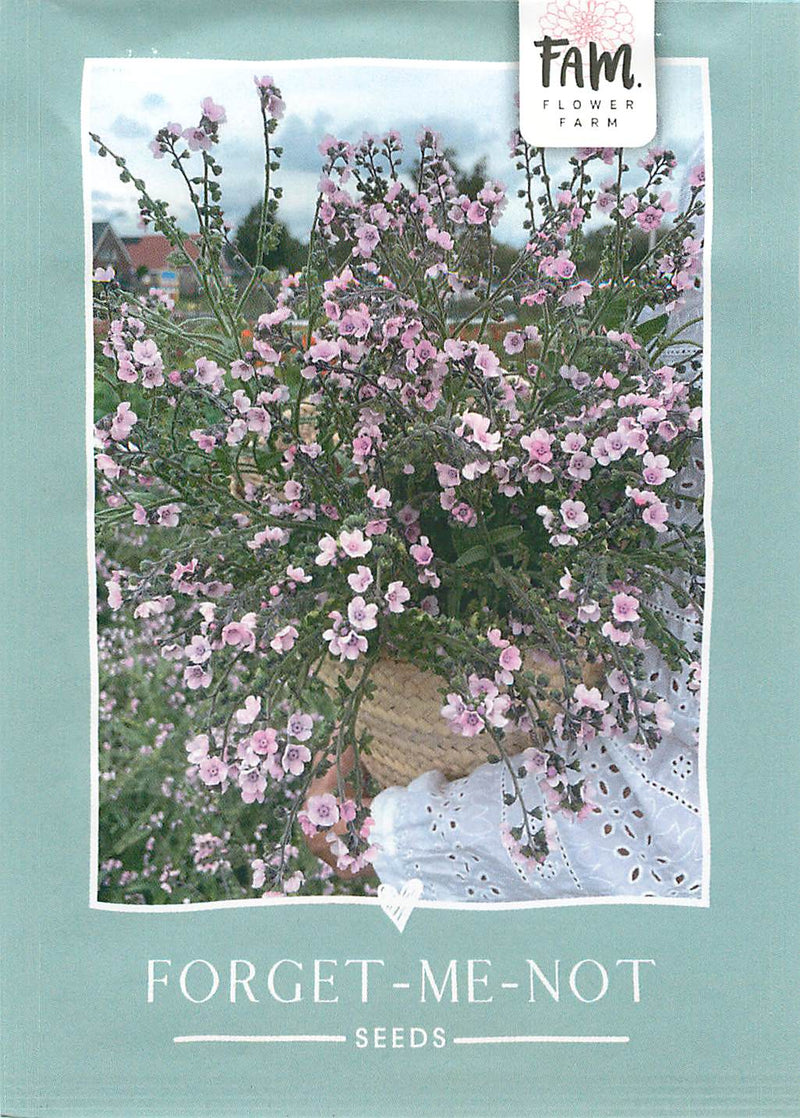 Vergissmeinnicht - Mystery Rose - 100 Samen