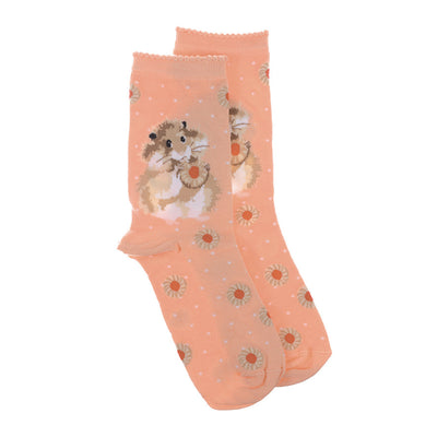 Chaussettes pour femmes - Hamster - Le régime commence demain