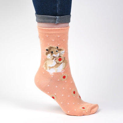 Chaussettes pour femmes - Hamster - Le régime commence demain