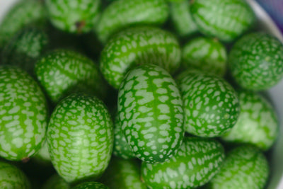Mouse Melon - Cucamelon - 15 Zaden