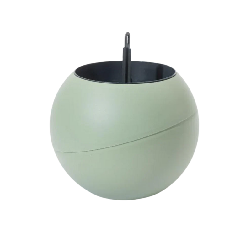 Globee - Olive