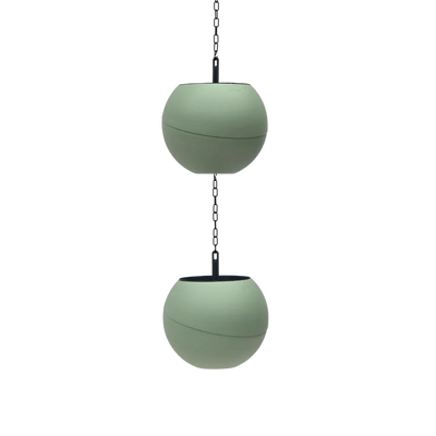 Globee - Olive