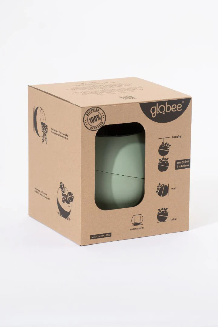 Globee - Olive