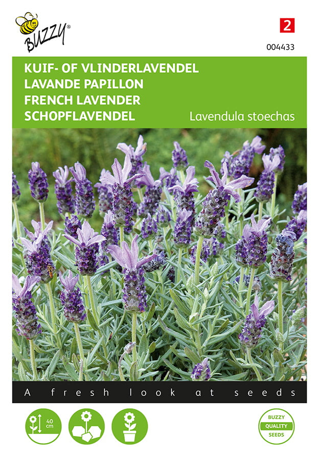 Francuska lavanda - 0,1g